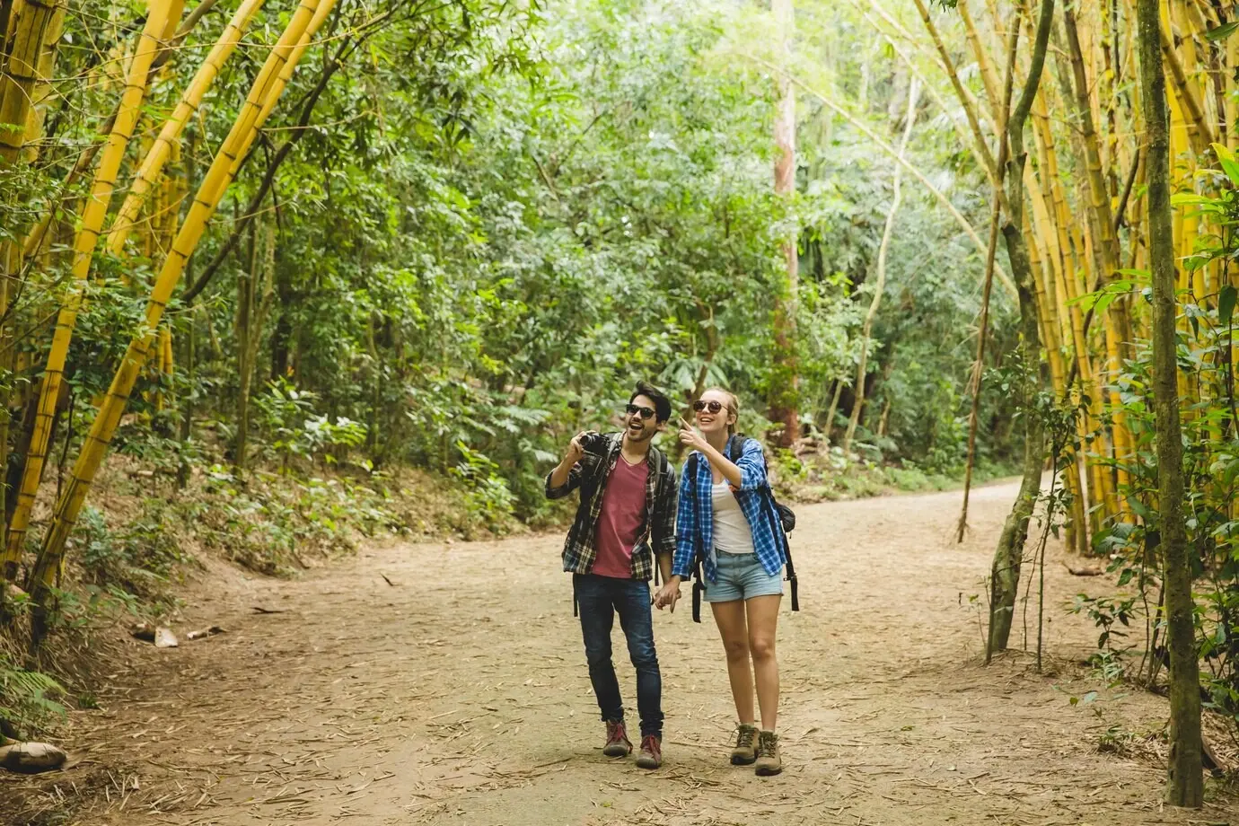 Touristen, die Bambusbäume betrachten.